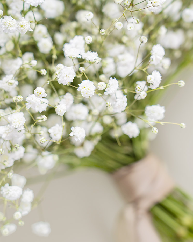 Brudbukett brudslöja