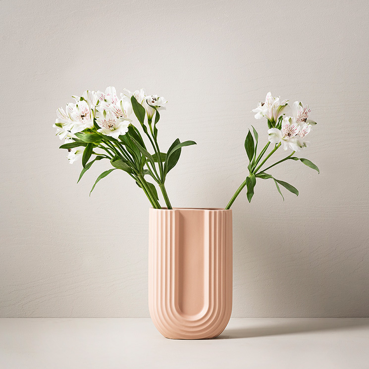 Alstroemeria, vit
