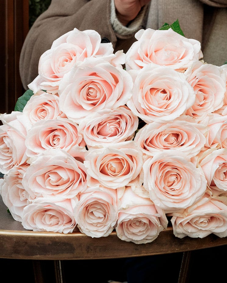 50 rosa rosor