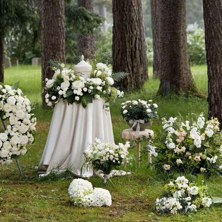 Ljusa minnen, plantering