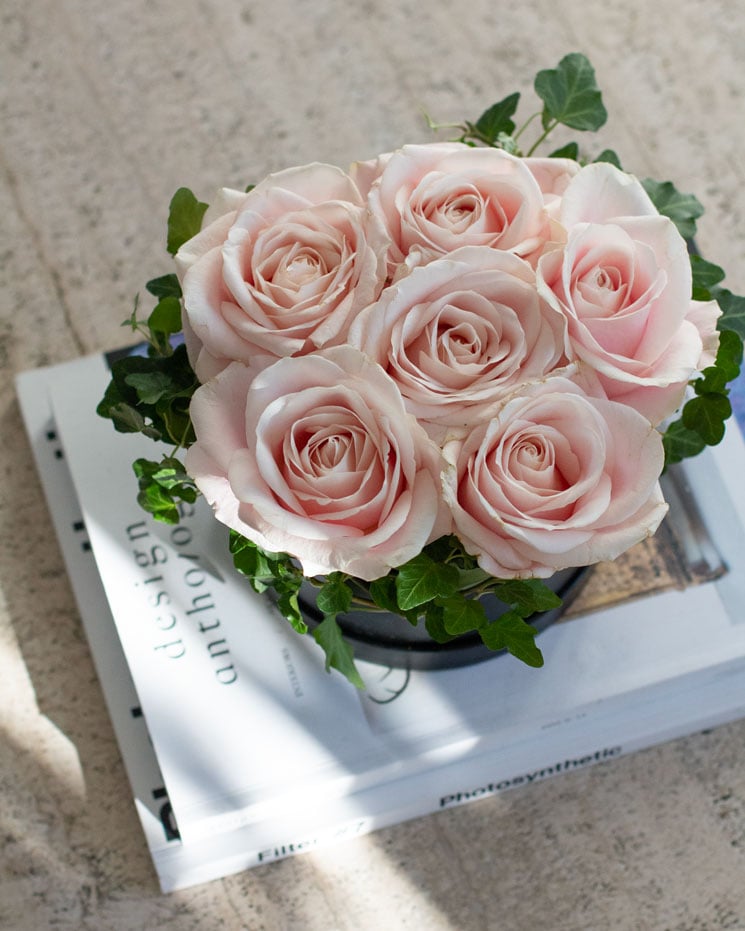 Rosa rosboxen, liten