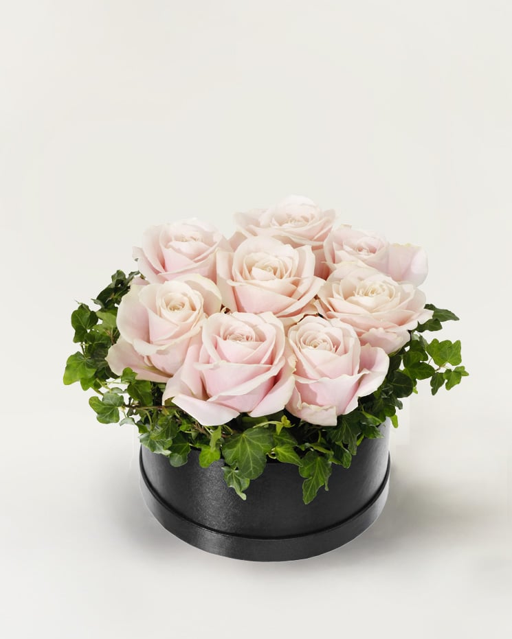 Rosa rosboxen, stor