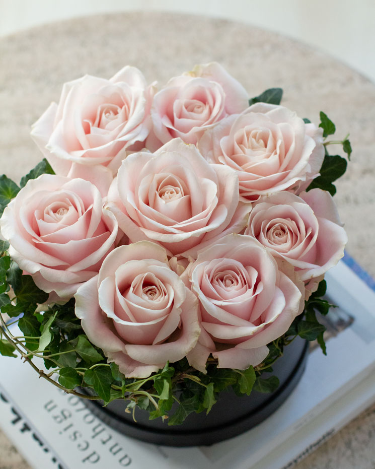 Rosa rosboxen, stor