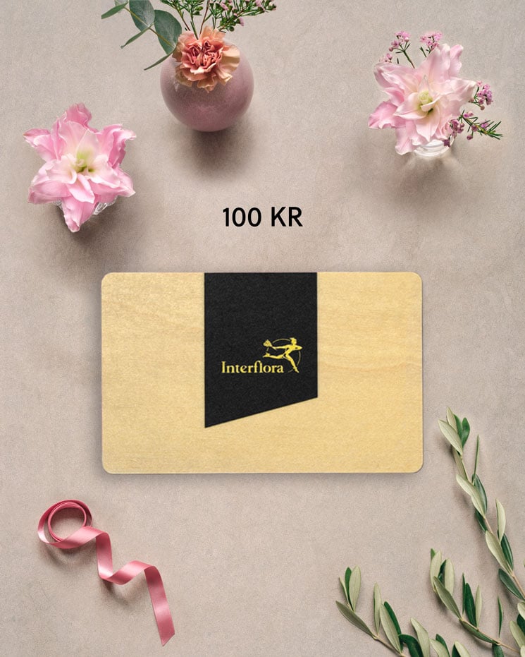 Presentkort 100