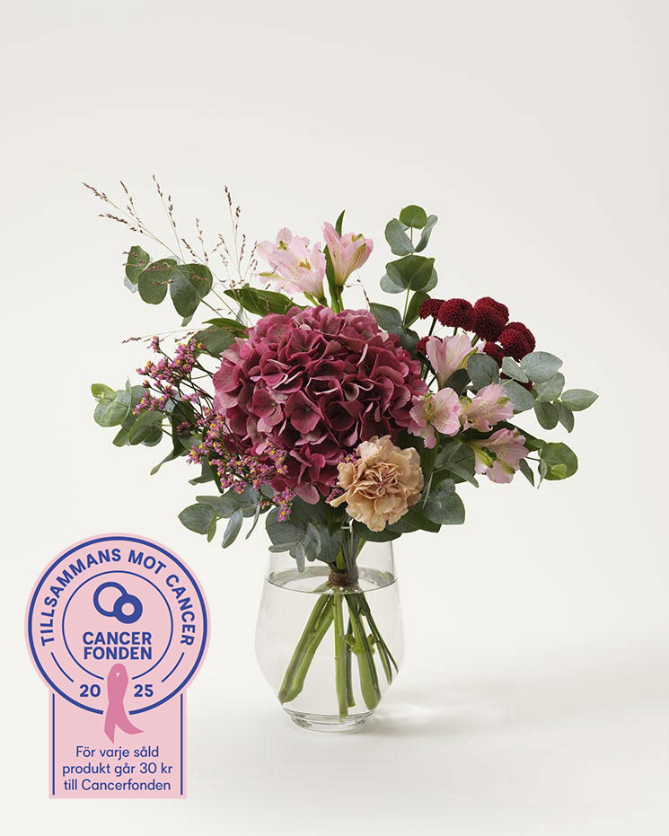 Rosa hopp